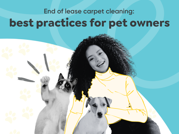 Tips For Pet Owners